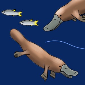 Swimming Platypus T-Shirt Design Highlight